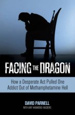 Facing the Dragon How a Desperate Act Pulled One Addict Out of