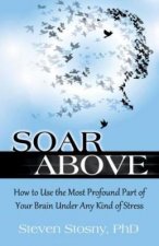Soar Above How to Use the Most Profound Part of Your Brain Under Any Kind of Stress