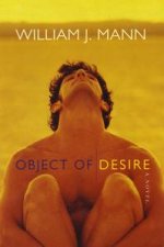 Object Of Desire A Novel