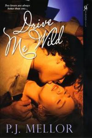 Drive Me Wild by P J Mellor