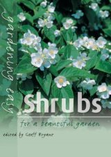 Gardening Easy Shrubs  For A Beautiful Garden