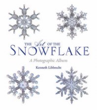 The Art of the Snowflake