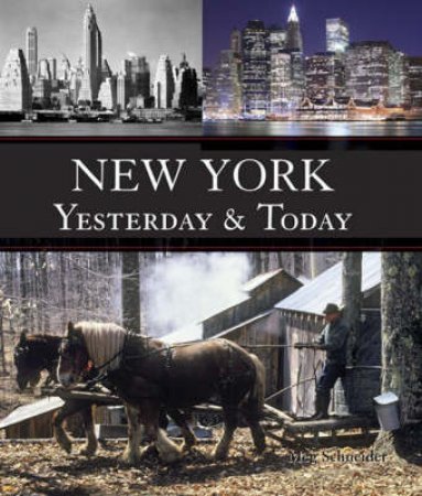 New York Yesterday & Today by Meg Schneider
