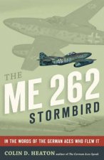 The Me 262 Stormbird