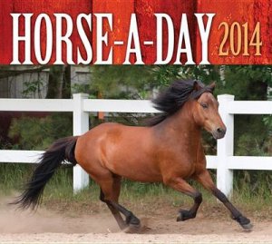 Horse-A-Day 2014 by Various