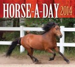 HorseADay 2014