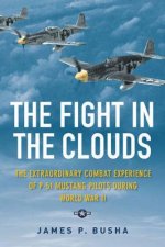 The Fight in the Clouds