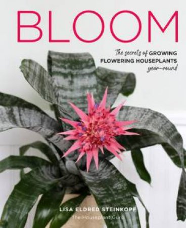 Bloom by Lisa Eldred Steinkopf