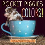 Pocket Piggies Colours