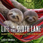 Life In The Sloth Lane