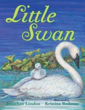 Little Swan