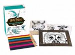 Harry Potter Magical Creatures Colouring Kit