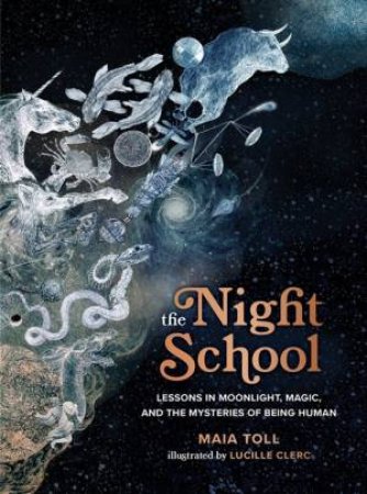 The Night School by Maia Toll & Lucille Clerc