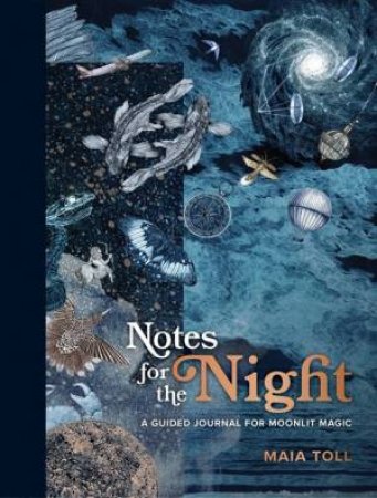 Notes For The Night by Maia Toll & Lucille Clerc