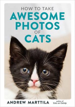 How To Take Awesome Photos Of Cats by Andrew Marttila