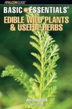 Basic Essentials Edible Wild Plants  Useful Herbs