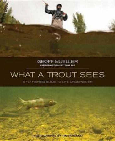 What a Trout Sees by Geoff Mueller