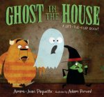 Ghost in the House A LifttheFlap Book