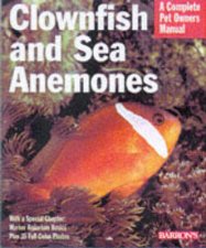 Clownfish  Sea Anemones