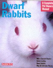 Dwarf Rabbits