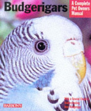 Budgerigars by Cpom - Birds