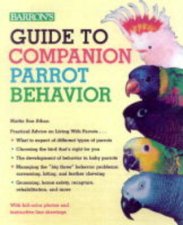Guide To Companion Parrot Beha
