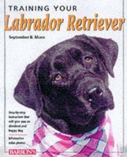 Training Your Labrador Retriev