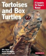 Tortoises  Box Turtles