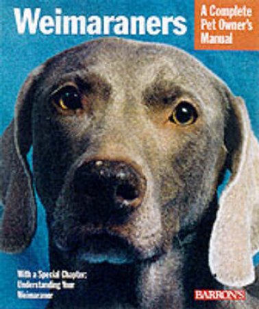Weimaraners : Pb by Fox Sue