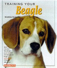 Training Your Beagle