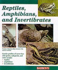Reptiles Amphibians And Invertebrates An Identification And Care Guide