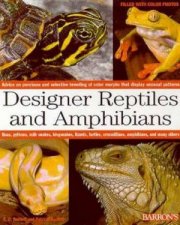 Designer Reptiles And Amphibians