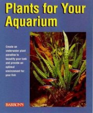 Plants For Your Aquarium