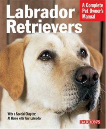 Labrador Retrievers by Kerry Kern