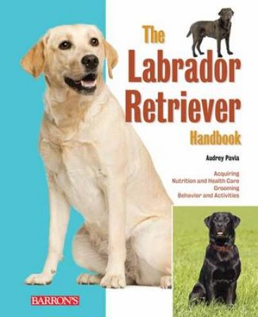 Labrador Retrievers by Joan Walker