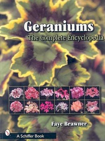 Geraniums by Faye Brawner