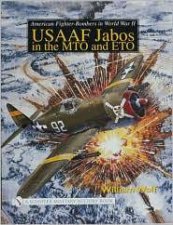 American FighterBombers in World War II USAAF Jab in the MTO and ETO