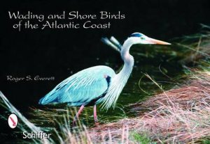 Wading and Shore Birds of the Atlantic Coast by EVERETT ROGER S.