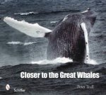 Cler to the Great Whales