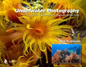 Underwater Photography: A Guide to Capturing the Mysteries of the Deep by BURKHOLDER TRENT