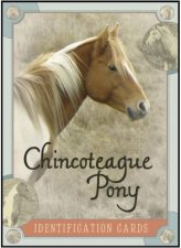 Chincoteague Pony Identification Cards