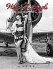 Wings of Angels A Tribute to the Art of World War II Pinup and Aviation Vol 1