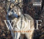 Wolf Sanctuary The Wolves Of Speedwell Forge