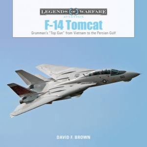 F14 Tomcat by David F. Brown