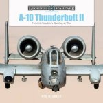 A10 Thunderbolt II  Fairchild Republics Warthog At War