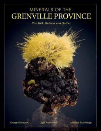 Minerals of the Grenville Province: New York, Ontario and Quebec by ROBINSON / CHIARENZELLI / BAINBRIDGE