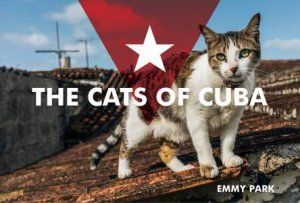 Cats Of Cuba by Emmy Park