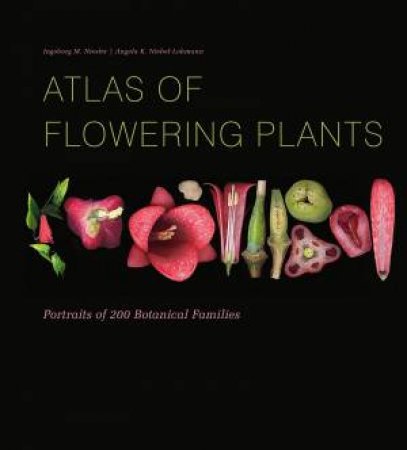 Atlas Of Flowering Plants by Ingeborg M. Niesler & Angela K. Niebel-Lohmann