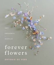 Forever Flowers Dry Preserve Display