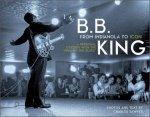 BB King From Indianola To Icon A Personal Odyssey With The King Of The Blues
